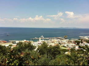 Ariosetto